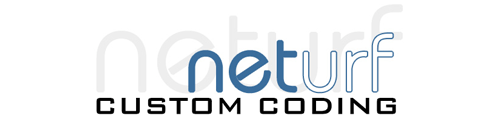 Neturf - Custom Code Application Development